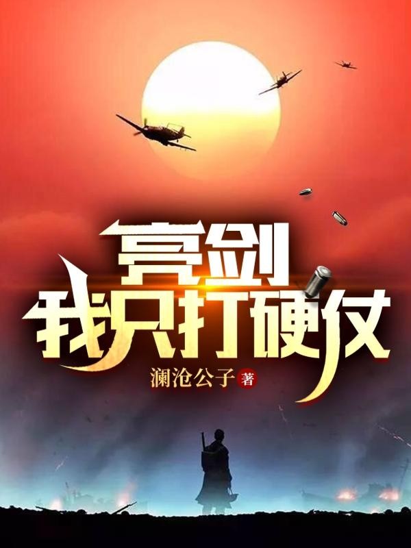 亮剑:我只打硬仗封面