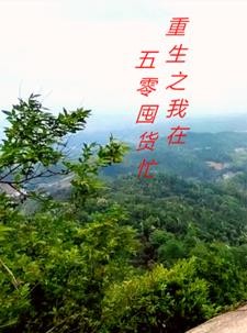 重生之我在五零囤货忙封面