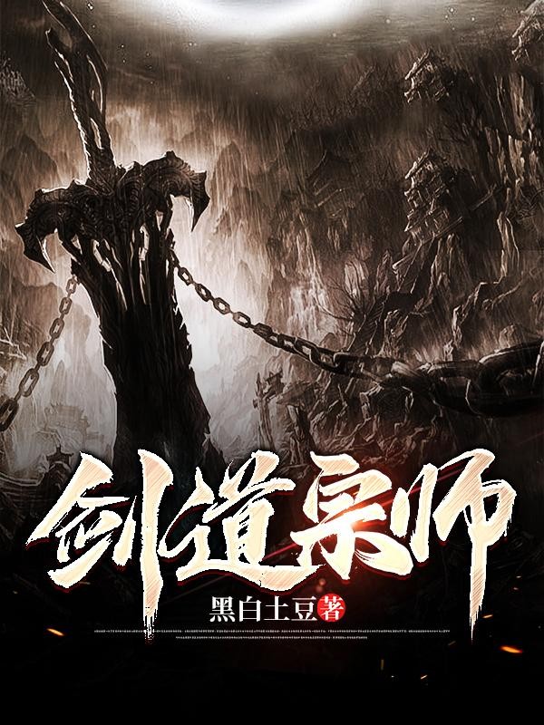 剑道宗师封面