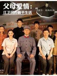 父母爱情:江卫民的躺平生活封面