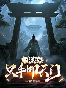 一体双魂,只手叩天门封面