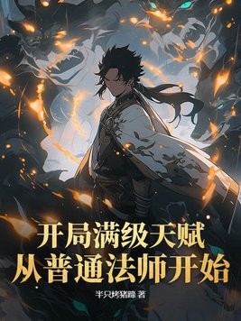 开局满级天赋,从普通法师开始封面