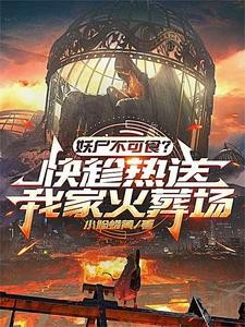 最后的十三城封面