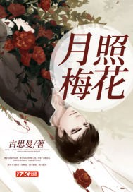 月照梅花封面