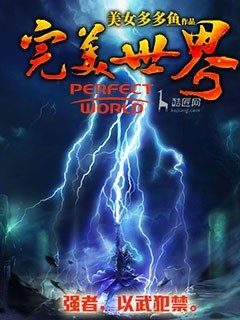 完美世界封面