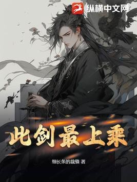 此剑最上乘封面