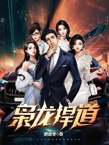 枭龙扞道封面