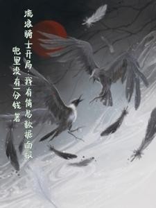 流浪骑士开局:我有简易数据面板封面