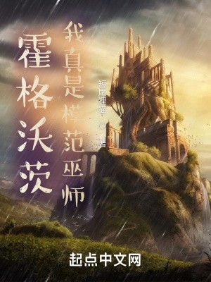 霍格沃茨:我真是模范巫师封面