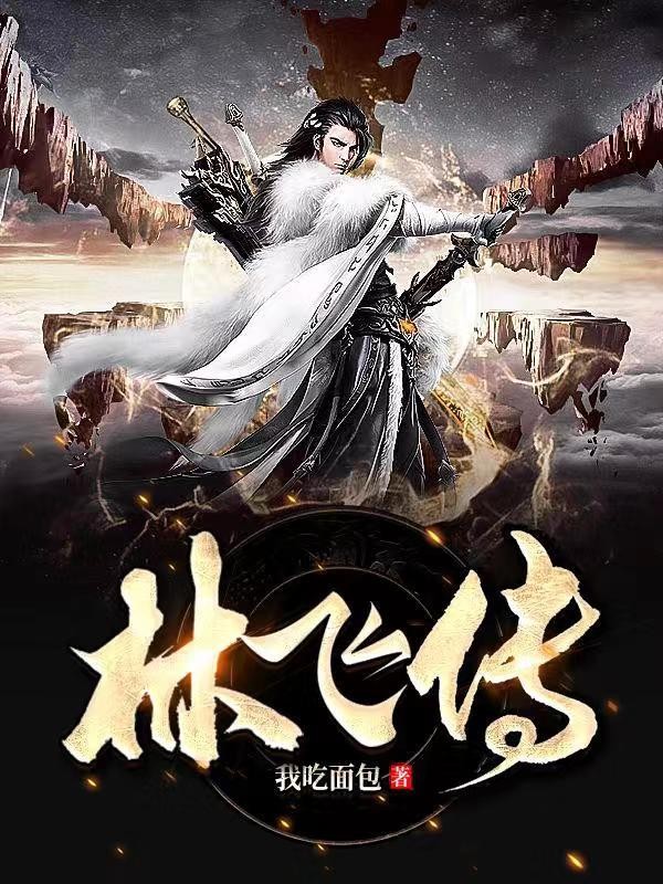 林飞传封面