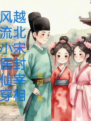 风流小医仙,穿越北宋封宰相封面