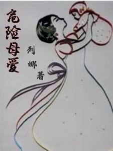 危险母爱封面