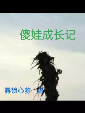 傻娃蜕变记封面