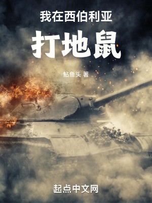 我在西伯利亚打地鼠封面