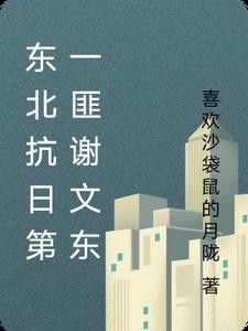 东北谢文东封面