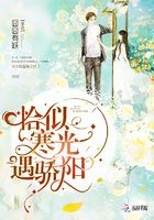 恰似寒光遇骄阳封面