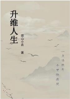 升维人生封面