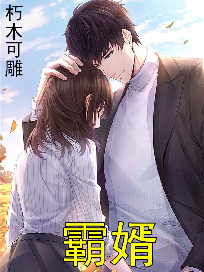 霸婿封面