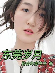 东莞岁月封面