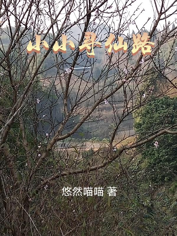 小小寻仙路封面