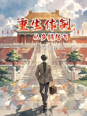 重生体制,从乡镇起飞封面