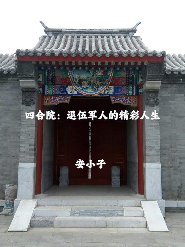 四合院:退伍军人的精彩人生封面