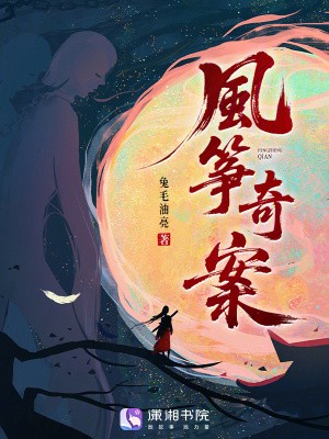 风筝奇案封面
