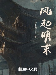 风起明末封面