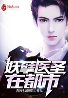 妖孽医圣在都市封面