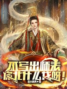 不写出师表,你北什么伐呀!封面