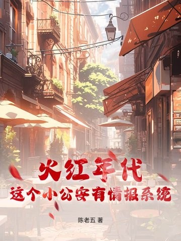 火红年代,这个小公安有情报系统封面