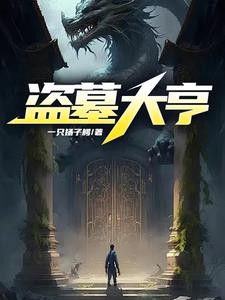 盗墓大亨封面