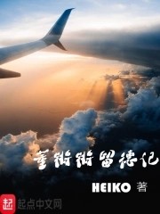 董锵锵留德记封面