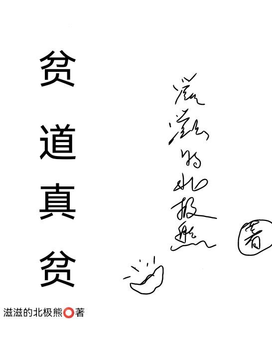 贫道真贫封面