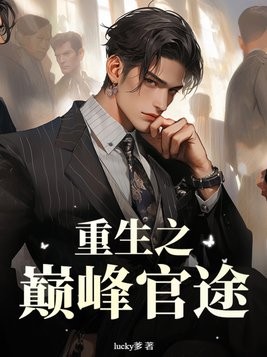 重生之巅峰官途封面