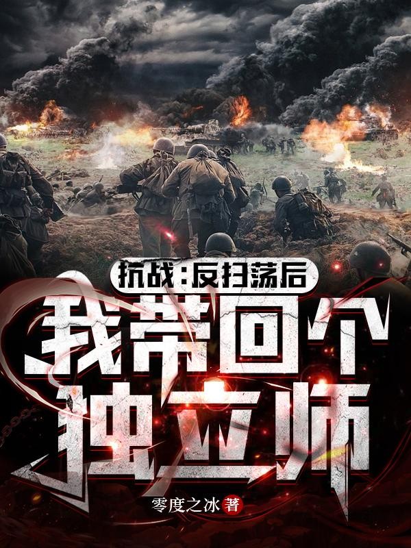 抗战:反扫荡后,我带回个独立师封面