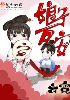 娘子万安封面