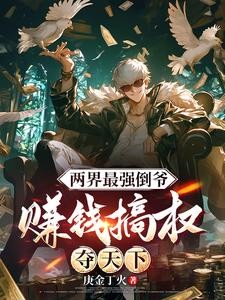 双穿:开局买下美女丫鬟封面