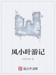 风小叶游记封面