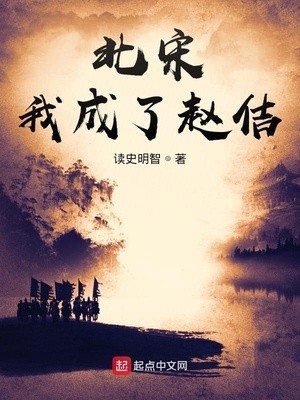 北宋:我成了赵佶封面