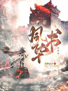 风华书封面