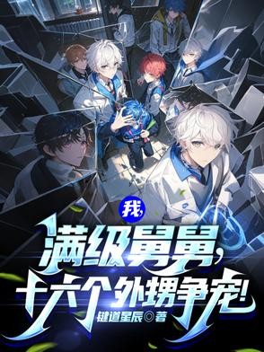我,满级舅舅,十六个外甥争宠!封面