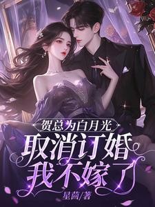 贺总为白月光取消订婚,我不嫁了封面