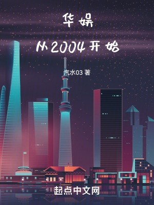 华娱从2004开始封面