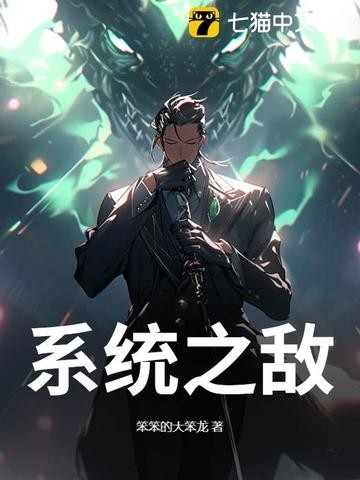 系统之敌封面