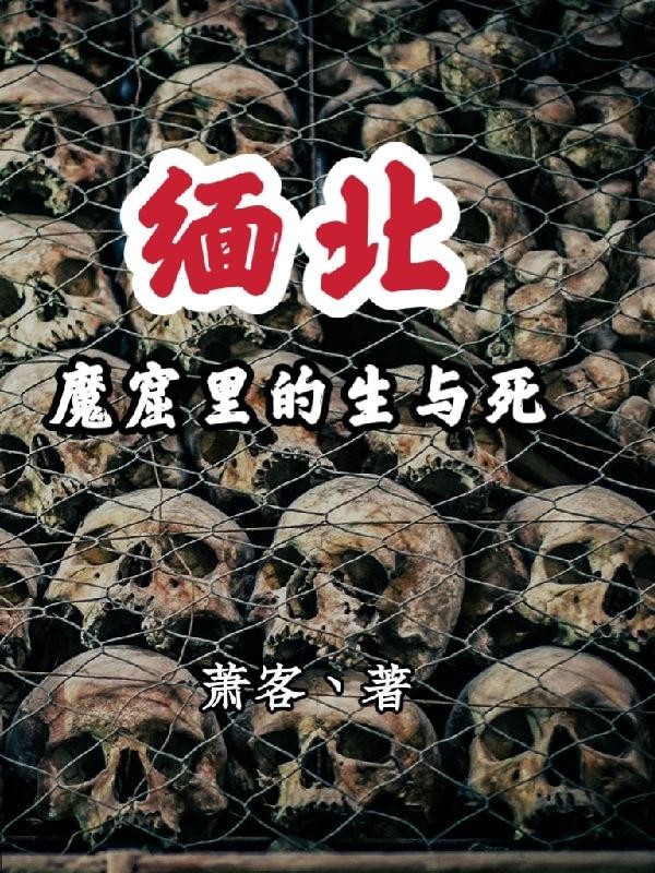 缅北,魔窟里的生与死封面
