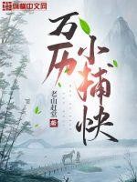 万历小捕快封面
