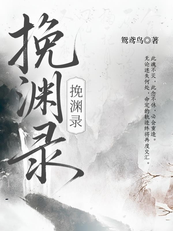 挽渊录封面
