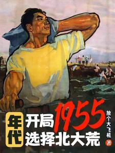 年代:开局杀穿四合院辗转北大荒封面