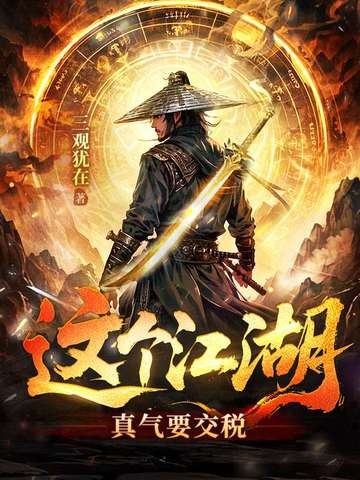 这个江湖:真气要交税封面
